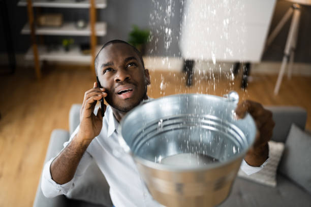 Best Flood damage cleanup  in Laurel Hollow, NY