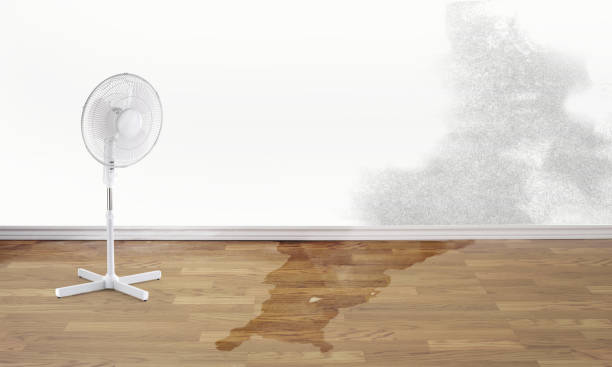 Best Flood restoration services  in Laurel Hollow, NY
