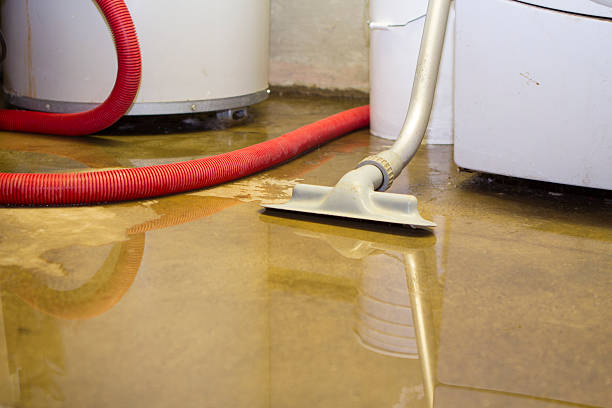 Water damage restoration experts in Laurel Hollow, NY