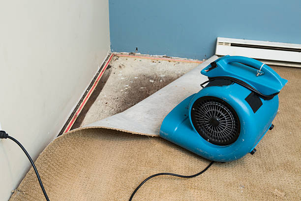 Laurel Hollow, NY Water damage restoration Company